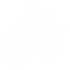 Door Knock Icon